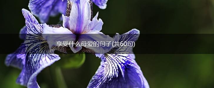 享受什么母爱的句子(共60句),第1张