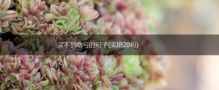 买不到吃亏的句子(实用20句),第1张