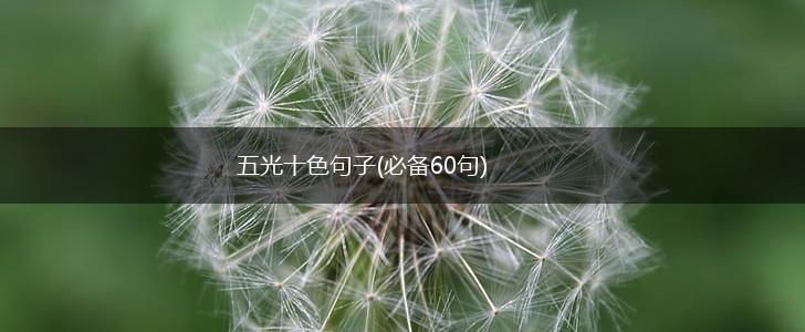 五光十色句子(必备60句),第1张