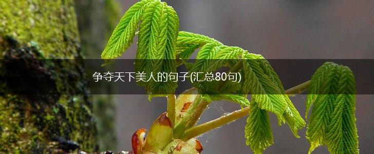 争夺天下美人的句子(汇总80句),第1张