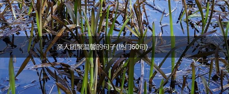 亲人团聚温馨的句子(热门60句),第1张