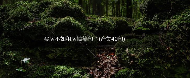 买房不如租房搞笑句子(合集40句),第1张