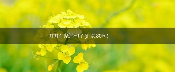 井井有条造句子(汇总80句),第1张