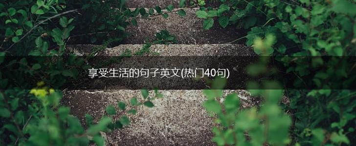 享受生活的句子英文(热门40句),第1张