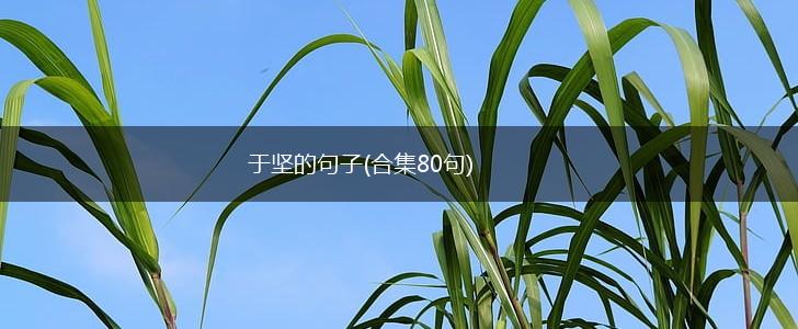 于坚的句子(合集80句),第1张