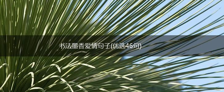 书法墨香爱情句子(优选46句),第1张