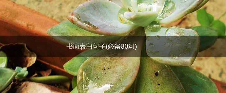 书面表白句子(必备80句),第1张