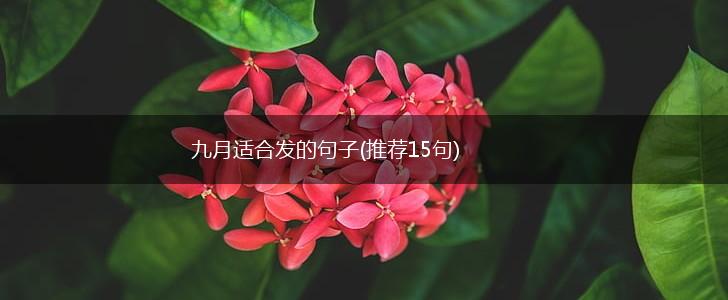 九月适合发的句子(推荐15句),第1张