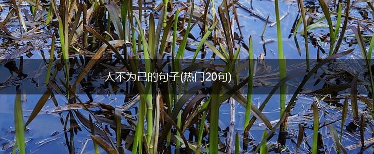 人不为己的句子(热门20句),第1张