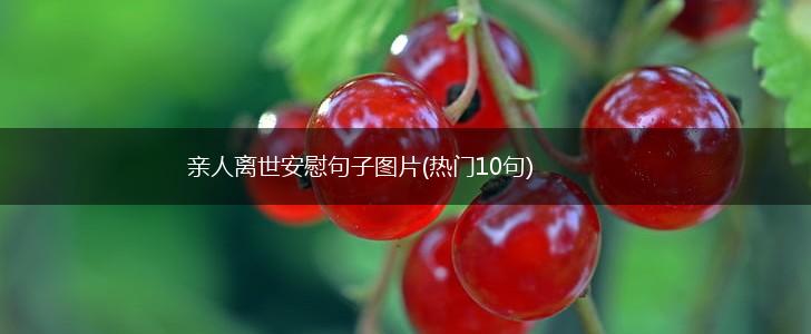 亲人离世安慰句子图片(热门10句),第1张