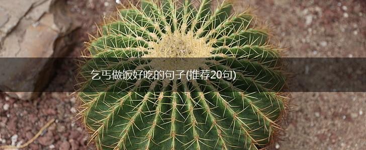 乞丐做饭好吃的句子(推荐20句),第1张