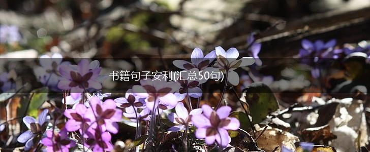 书籍句子安利(汇总50句),第1张
