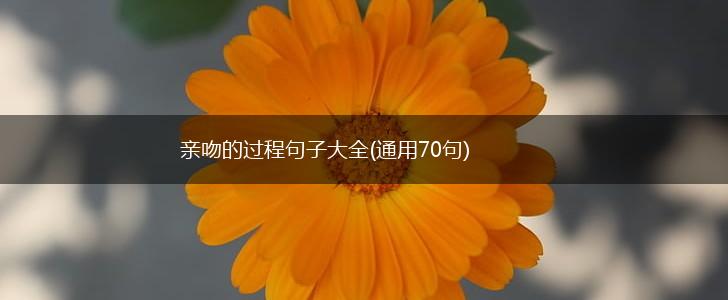 亲吻的过程句子大全(通用70句),第1张