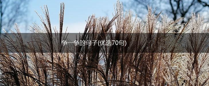 争一争的句子(优选70句),第1张