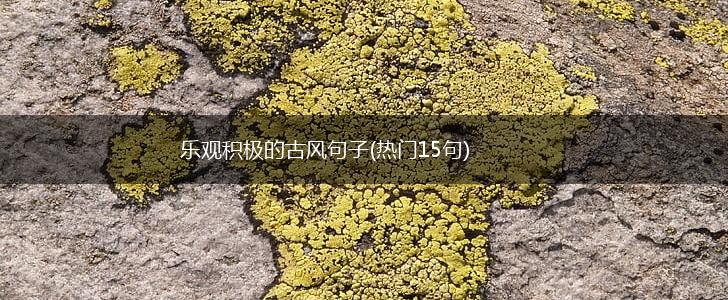 乐观积极的古风句子(热门15句),第1张