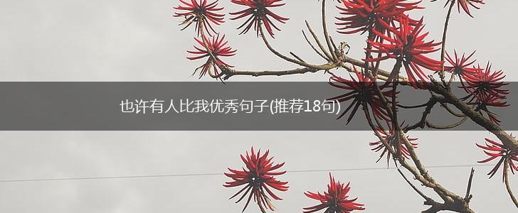 也许有人比我优秀句子(推荐18句),第1张