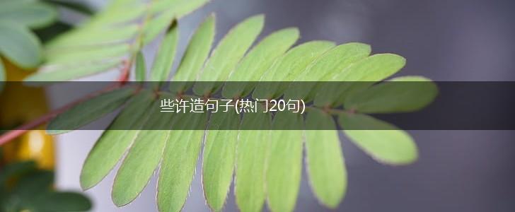 些许造句子(热门20句),第1张