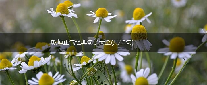 乾坤正气经典句子大全(共40句),第1张