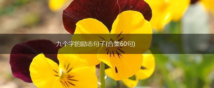 九个字的励志句子(合集60句),第1张