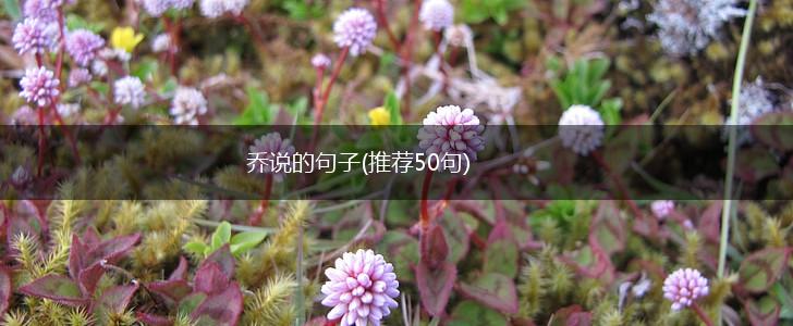 乔说的句子(推荐50句),第1张