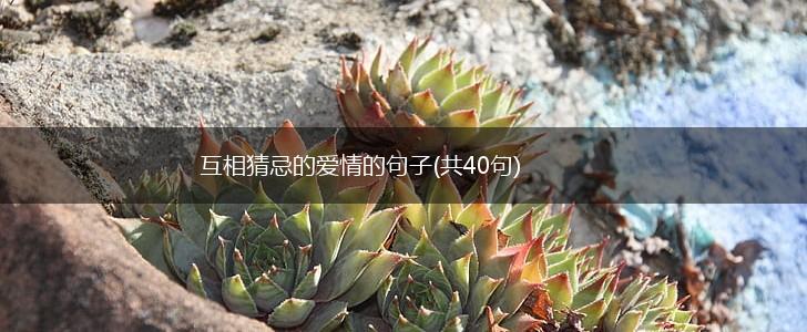互相猜忌的爱情的句子(共40句),第1张