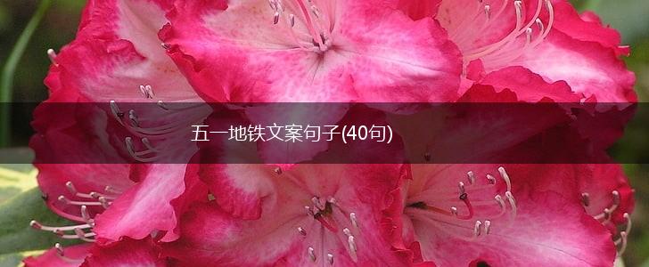 五一地铁文案句子(40句),第1张