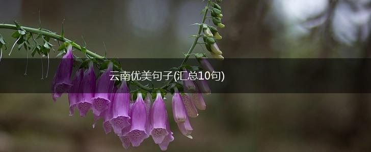 云南优美句子(汇总10句),第1张