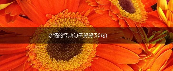 亲情的经典句子舅舅(50句),第1张