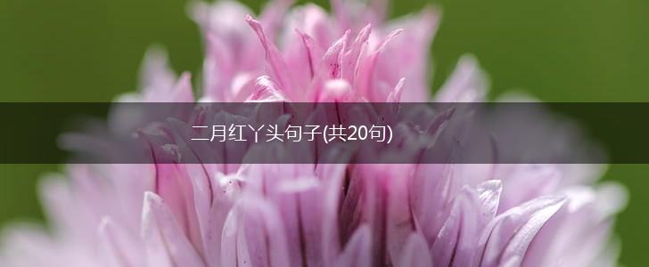 二月红丫头句子(共20句),第1张