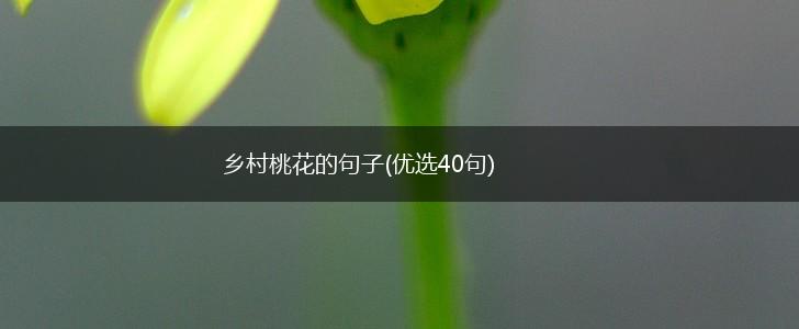 乡村桃花的句子(优选40句),第1张
