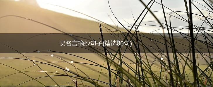 买名言摘抄句子(精选80句),第1张