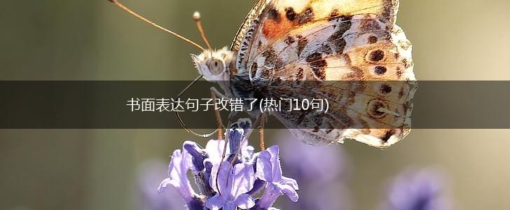 书面表达句子改错了(热门10句),第1张