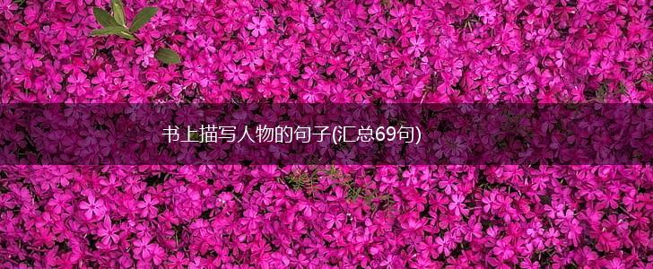 书上描写人物的句子(汇总69句),第1张
