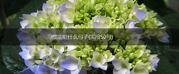 习惯能组什么句子(实用50句),第1张