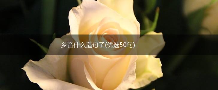 乡音什么造句子(优选50句),第1张