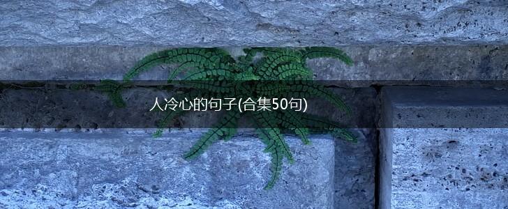 人冷心的句子(合集50句),第1张
