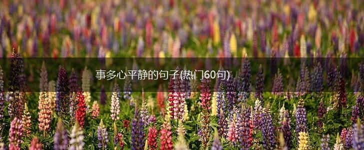 事多心平静的句子(热门60句),第1张