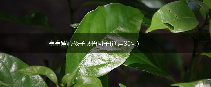 事事留心孩子感悟句子(通用30句),第1张