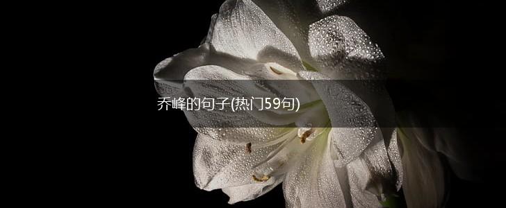 乔峰的句子(热门59句),第1张
