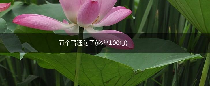 五个普通句子(必备100句),第1张