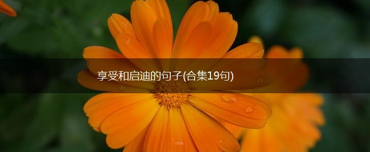 享受和启迪的句子(合集19句),第1张