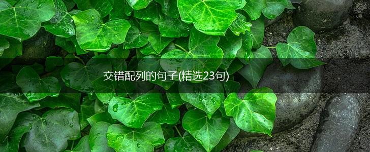 交错配列的句子(精选23句),第1张
