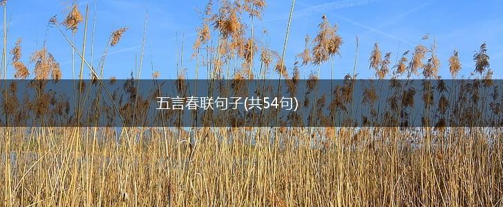 五言春联句子(共54句),第1张