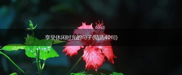 享受休闲时光的句子(精选40句),第1张