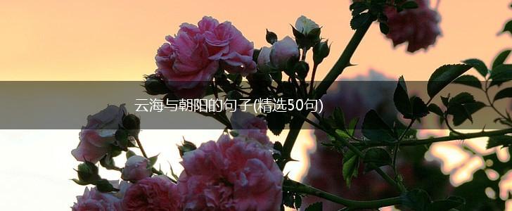 云海与朝阳的句子(精选50句),第1张