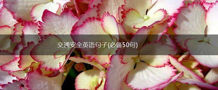 交通安全英语句子(必备50句),第1张
