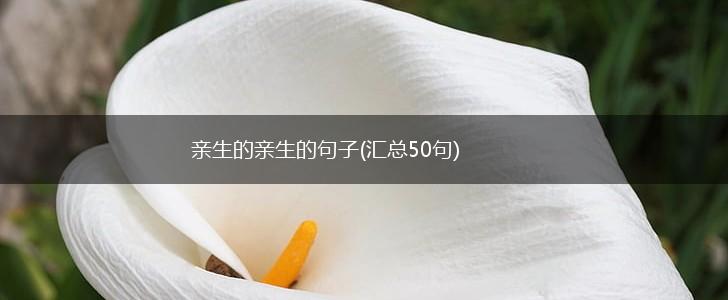 亲生的亲生的句子(汇总50句),第1张