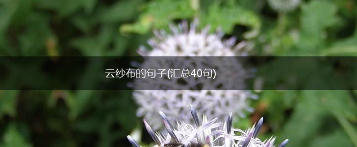 云纱布的句子(汇总40句),第1张