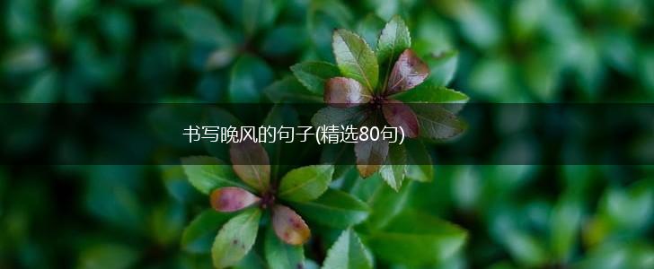 书写晚风的句子(精选80句),第1张