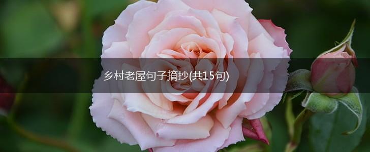 乡村老屋句子摘抄(共15句),第1张